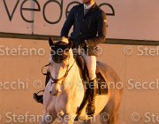 Berlin dei Folletti TosTour2013- S5 3173 : Arezzo, Arezzo Equestrian Centre, Berlin dei Folletti, Cavalli d'Italia, Toscana Tour 2013, foto di Stefano Secchi ©